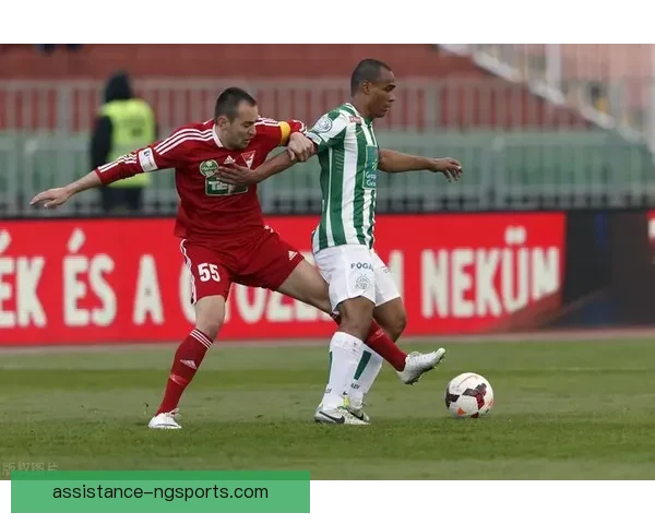 法甲劲旅里尔俱乐部百年荣耀与新时代崛起之路全景解析未来战略展望